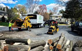 Best Leaf Removal  in Alum Rock, CA